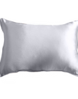 PURE MULBERRY SILK PILLOWCASE - PROSECCO SILVER
