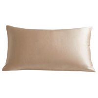 CHAMPAGNE GOLD PILLOWCASE WITHOUT BORDER